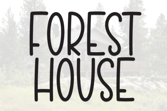 Forest House Font: A Designer's Real-World Campaign Review