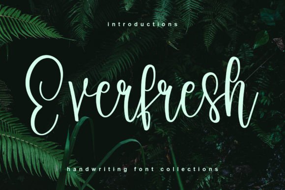 The Everfresh Font: A Maker’s Secret for Beautiful Handmade Items